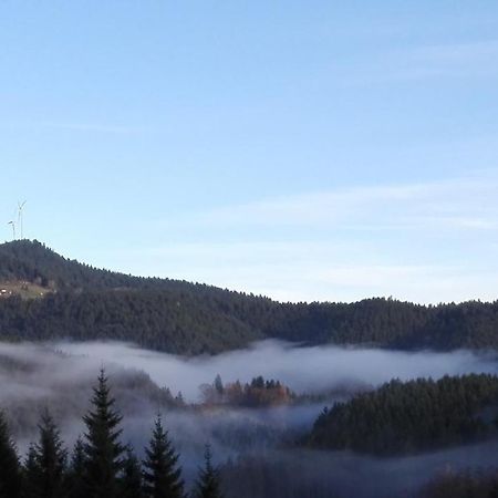 Ferienwohnung Am Sulzbaechle Bad Rippoldsau-Schapbach Экстерьер фото
