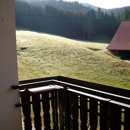 Ferienwohnung Am Sulzbaechle Bad Rippoldsau-Schapbach Экстерьер фото