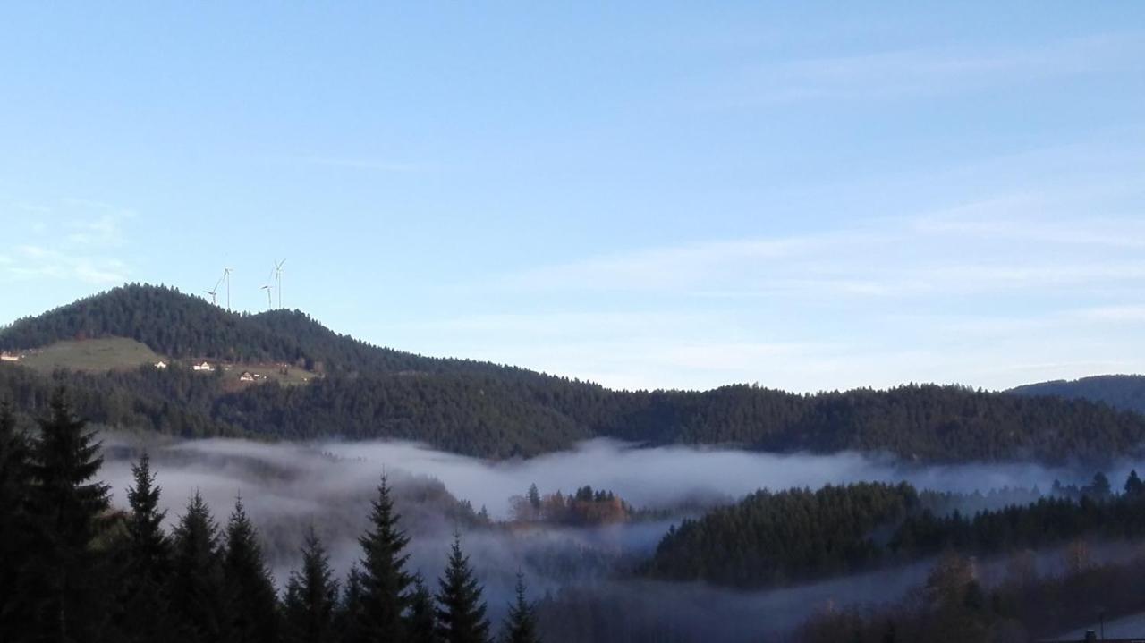 Ferienwohnung Am Sulzbaechle Bad Rippoldsau-Schapbach Экстерьер фото