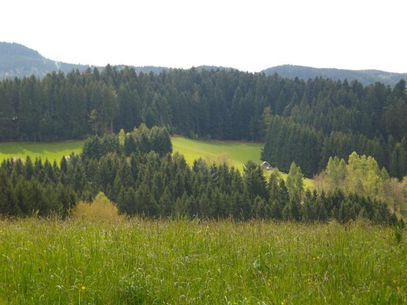 Ferienwohnung Am Sulzbaechle Bad Rippoldsau-Schapbach Экстерьер фото