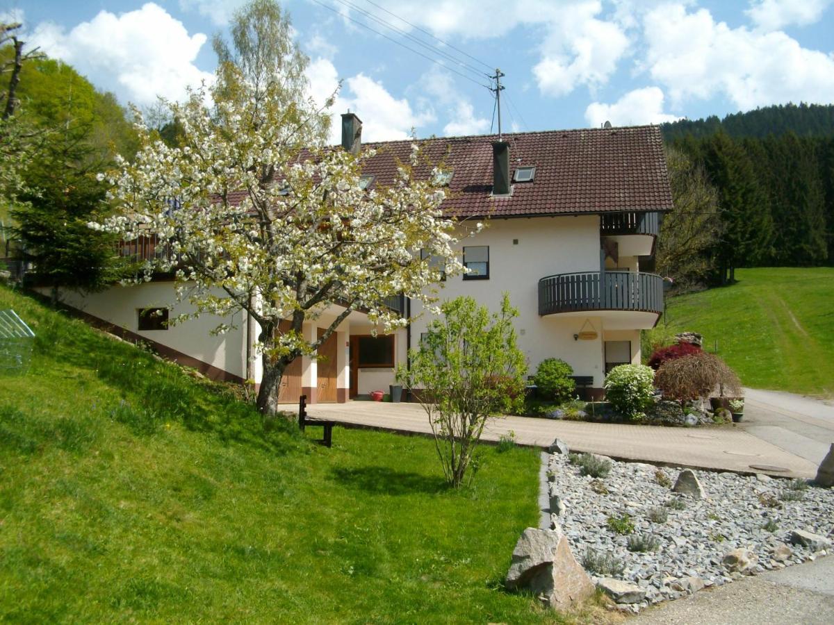 Ferienwohnung Am Sulzbaechle Bad Rippoldsau-Schapbach Экстерьер фото