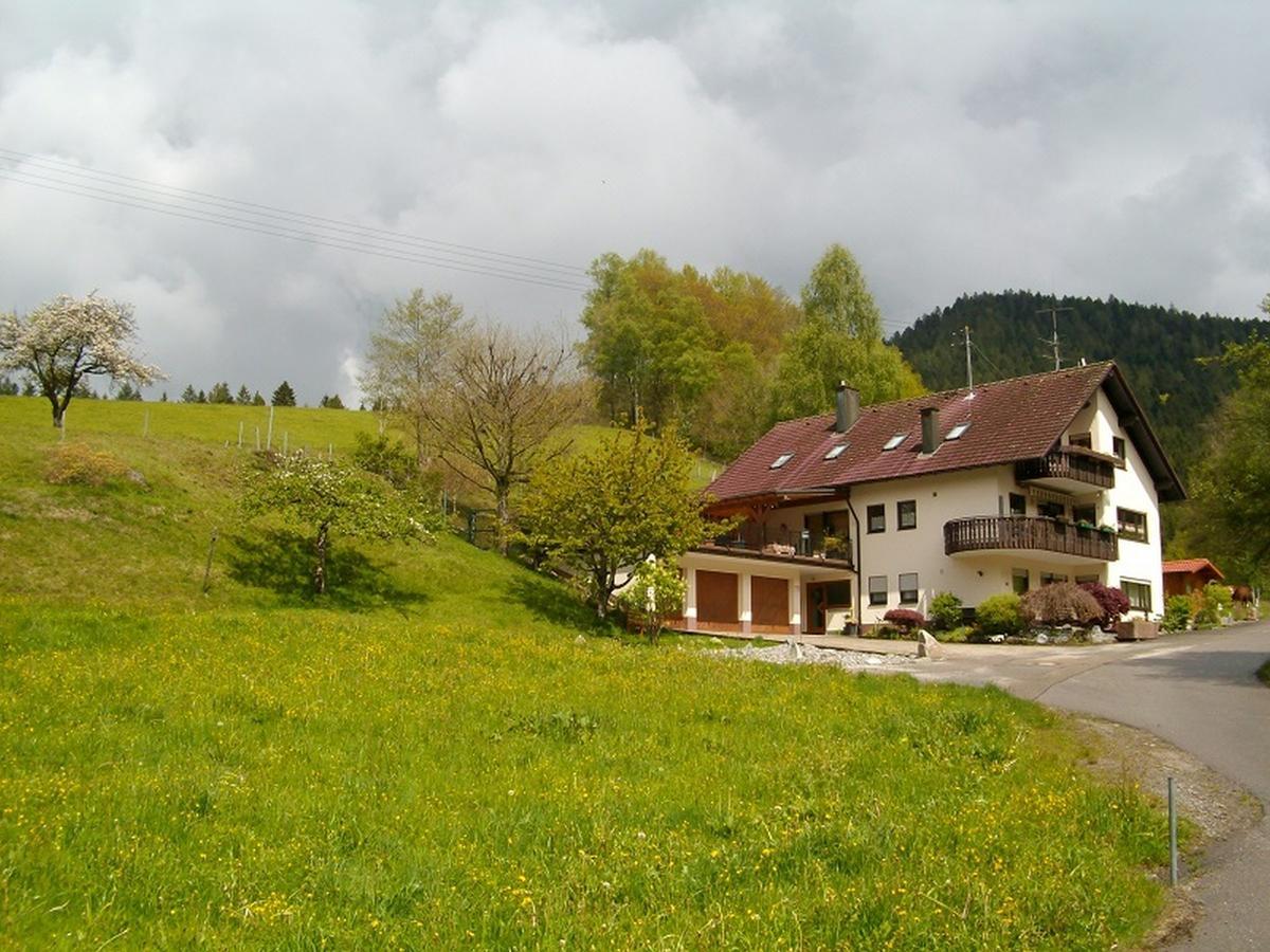 Ferienwohnung Am Sulzbaechle Bad Rippoldsau-Schapbach Экстерьер фото